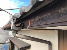 雨樋交換工事施工前の様子