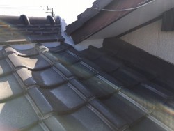 雨漏れしている箇所の屋根写真