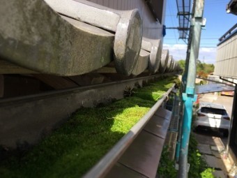 雨樋交換工事の現地調査の様子