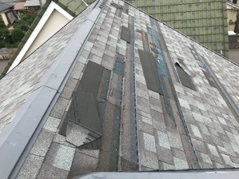 シングルルーフという屋根材の紹介