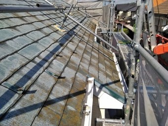 コケの生えたカラーベスト屋根の現地調査の様子