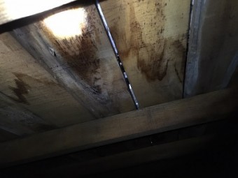 雨漏れが起きているお宅の屋根裏の写真