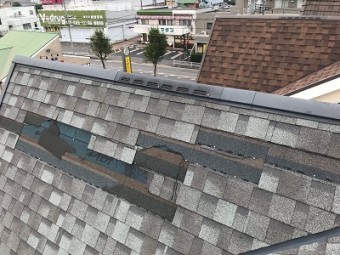 シングルルーフという屋根材の紹介
