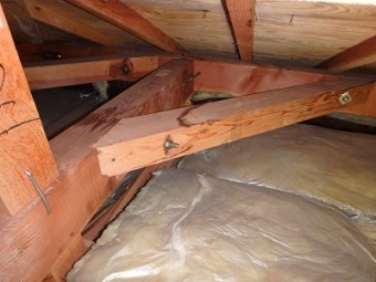 雨漏れの可能性がある屋根裏の調査