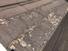 カラーベストの屋根の塗膜剥がれ、コケが生えている様子