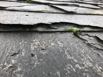 台風被害をうけたお宅の屋根の様子