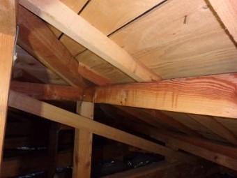 雨染みのはっきり出ている屋根裏の写真