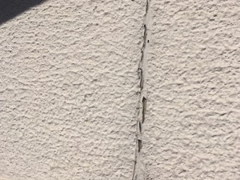 外壁の塗膜が剥がれている現地調査の様子