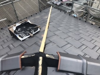 棟垂木にシルガードを施工する様子