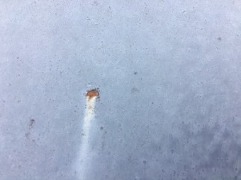 錆びてしまったトタン屋根