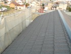 CIMG0487