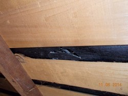 小屋裏から見た防水シートの破れ