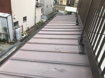 現地調査 屋根