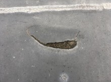屋上 防水シート 破れ