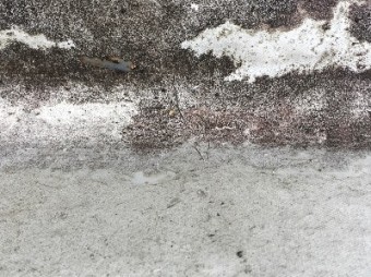 屋上 シート防水 現状