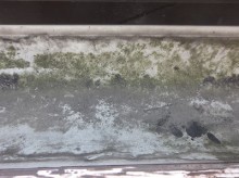 一宮市 自然災害 雨樋 ゆがみ