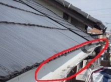 一宮市 自然災害 雨樋 ゆがみ