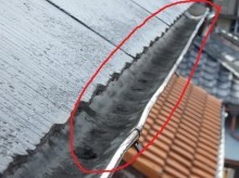 一宮市 自然災害 雨樋 ゆがみ