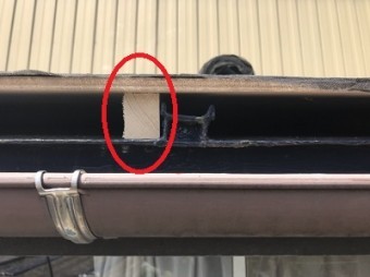 S__4079691-1-columns2