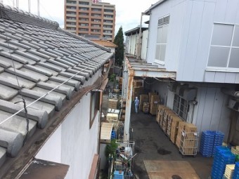 台風 被害