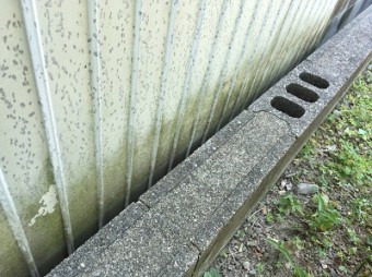 コケやカビが生えてる外壁