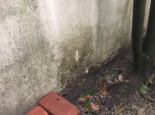 高圧洗浄前の外壁