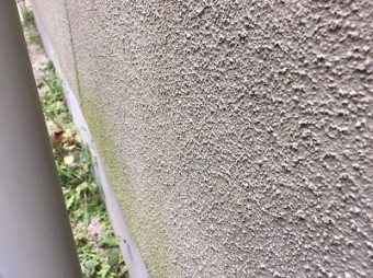 外壁 現地調査 コケ付着