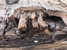 雨漏れする屋根の現地調査の様子