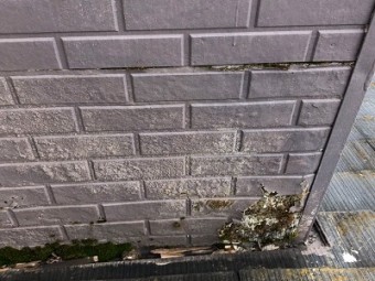 雨漏れする屋根の現地調査の様子