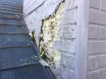 雨漏れする屋根の現地調査の様子