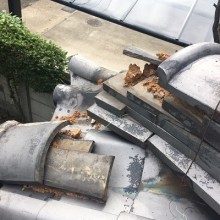 台風,被害のあったお宅の現地調査の様子