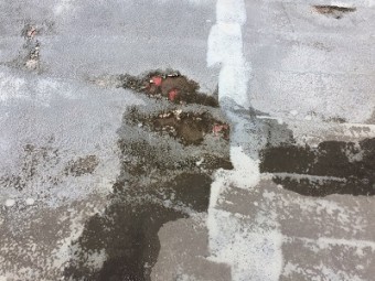 屋上 防水 現状 アップ