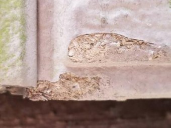 体積が耐え切れなくなった外壁