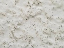 外壁塗膜が劣化