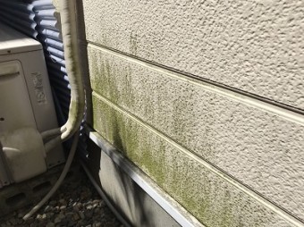 コケの生えた外壁