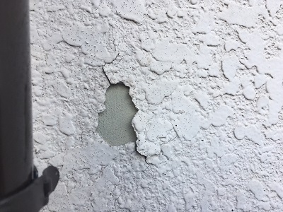 塗膜が割れてしまった外壁の現地調査の様子