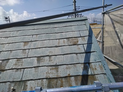 コケの生えたカラーベスト屋根の現地調査の様子