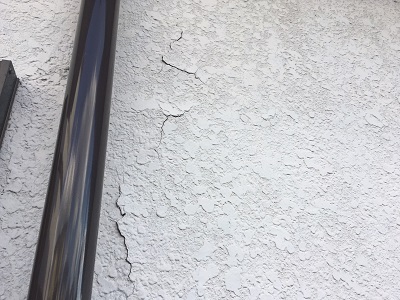 塗膜が割れてしまった外壁の現地調査の様子