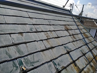 コケの生えたカラーベスト屋根の現地調査の様子
