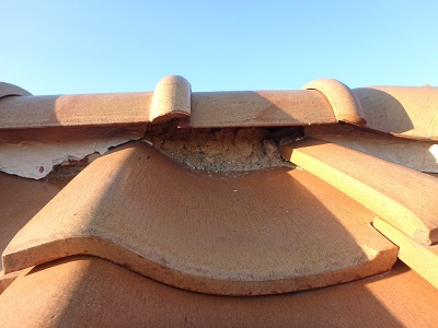 漆喰のはがれがあるお宅の屋根診断の様子