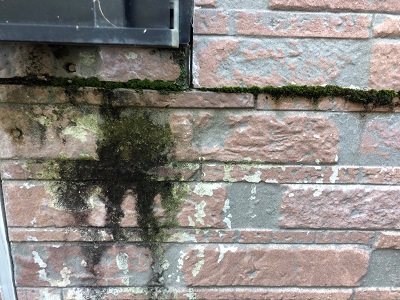 外壁カバーサイディング工事の外壁の診断の様子